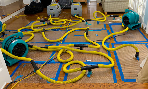Professional Burst Pipe Water Damage technician working in Concord, MI